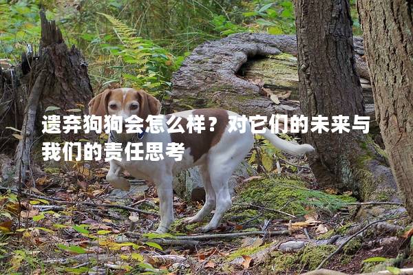 遗弃狗狗会怎么样？对它们的未来与我们的责任思考