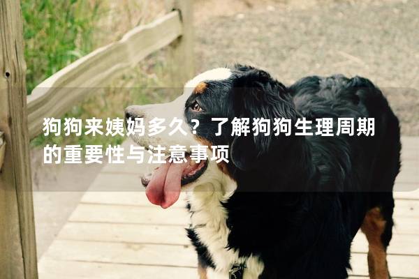 狗狗来姨妈多久？了解狗狗生理周期的重要性与注意事项