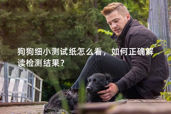 狗狗细小测试纸怎么看，如何正确解读检测结果？
