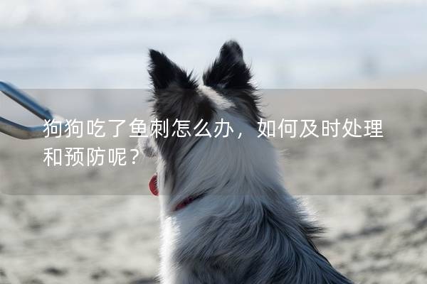 狗狗吃了鱼刺怎么办，如何及时处理和预防呢？