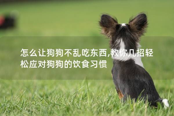 怎么让狗狗不乱吃东西,教你几招轻松应对狗狗的饮食习惯