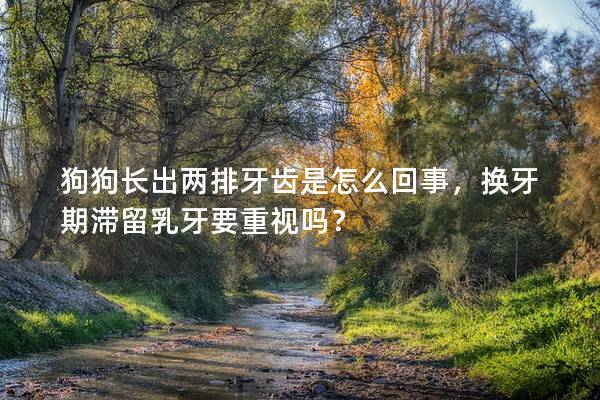 狗狗长出两排牙齿是怎么回事，换牙期滞留乳牙要重视吗？