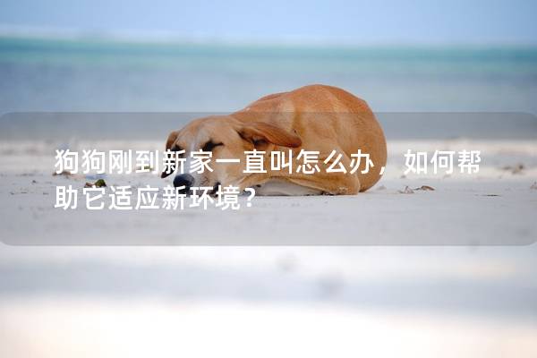 狗狗刚到新家一直叫怎么办，如何帮助它适应新环境？