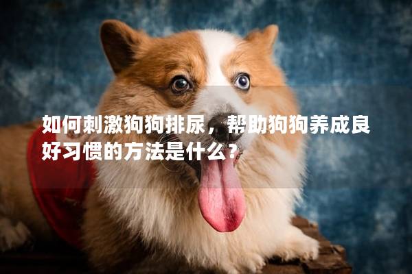 如何刺激狗狗排尿，帮助狗狗养成良好习惯的方法是什么？