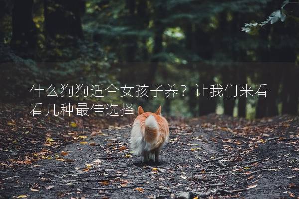 什么狗狗适合女孩子养？让我们来看看几种最佳选择