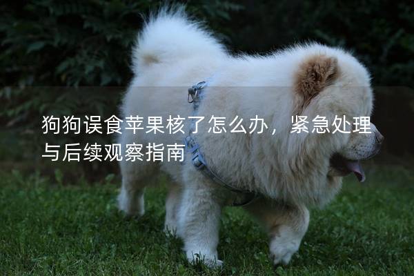 狗狗误食苹果核了怎么办，紧急处理与后续观察指南