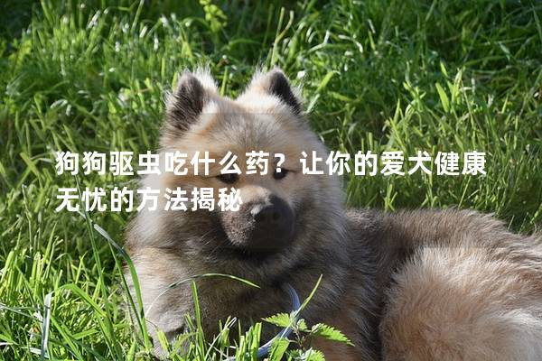 狗狗驱虫吃什么药？让你的爱犬健康无忧的方法揭秘