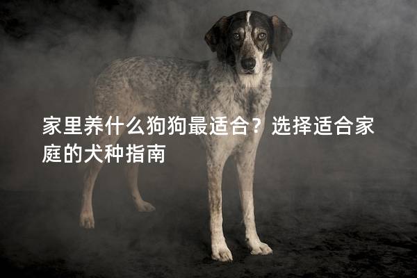 家里养什么狗狗最适合？选择适合家庭的犬种指南