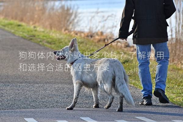 狗狗体内体外驱虫多少钱？了解费用和选择合适的驱虫方案