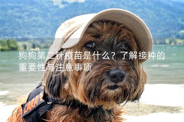 狗狗第二针疫苗是什么？了解接种的重要性与注意事项