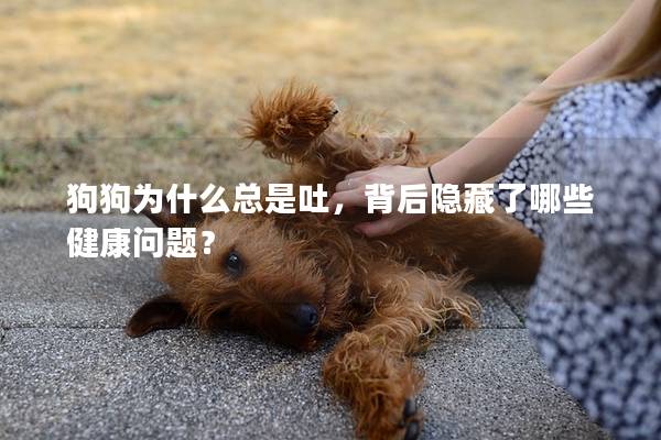 狗狗为什么总是吐，背后隐藏了哪些健康问题？