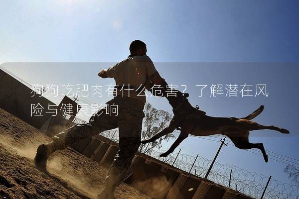 狗狗吃肥肉有什么危害？了解潜在风险与健康影响