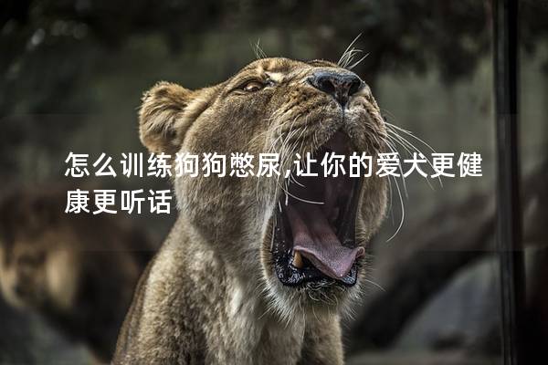 怎么训练狗狗憋尿,让你的爱犬更健康更听话