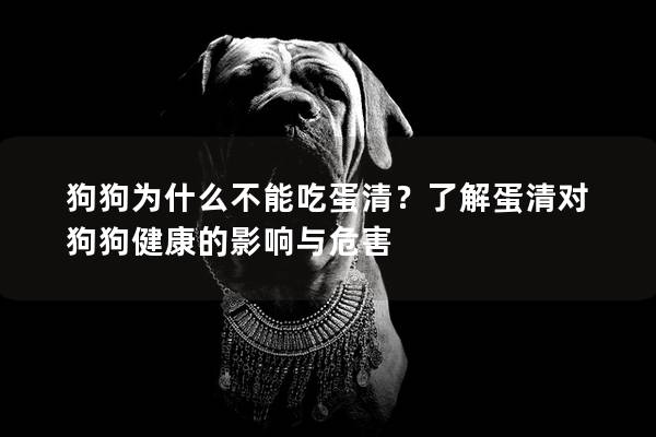 狗狗为什么不能吃蛋清？了解蛋清对狗狗健康的影响与危害