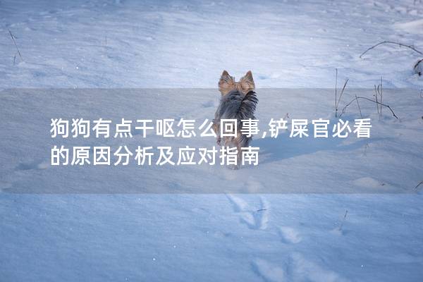 狗狗有点干呕怎么回事,铲屎官必看的原因分析及应对指南