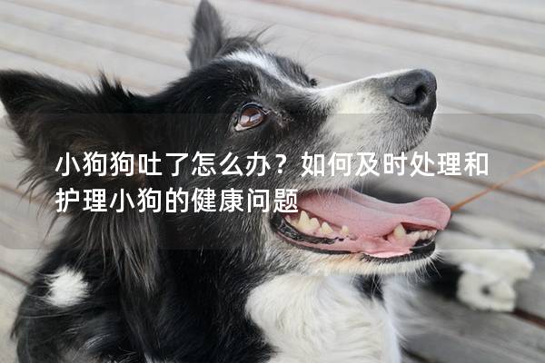 小狗狗吐了怎么办？如何及时处理和护理小狗的健康问题