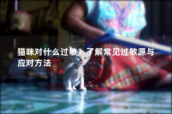 猫咪对什么过敏？了解常见过敏源与应对方法