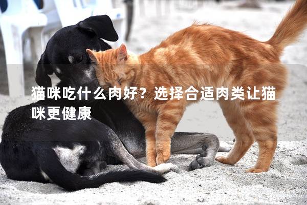 猫咪吃什么肉好？选择合适肉类让猫咪更健康