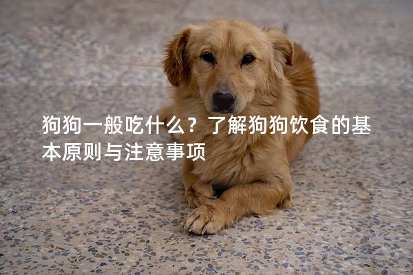 狗狗一般吃什么？了解狗狗饮食的基本原则与注意事项