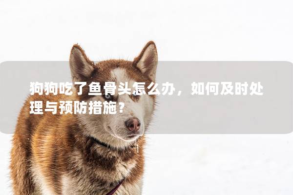 狗狗吃了鱼骨头怎么办，如何及时处理与预防措施？