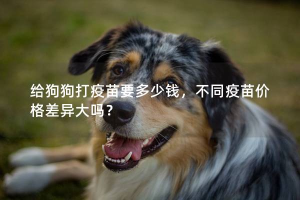 给狗狗打疫苗要多少钱，不同疫苗价格差异大吗？