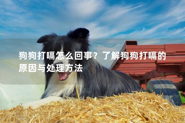 狗狗打嗝怎么回事？了解狗狗打嗝的原因与处理方法