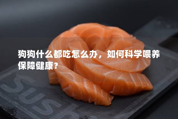 狗狗什么都吃怎么办，如何科学喂养保障健康？