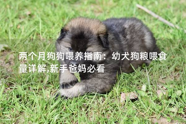 两个月狗狗喂养指南：幼犬狗粮喂食量详解,新手爸妈必看