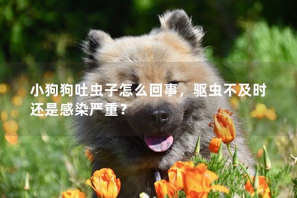 小狗狗吐虫子怎么回事，驱虫不及时还是感染严重？
