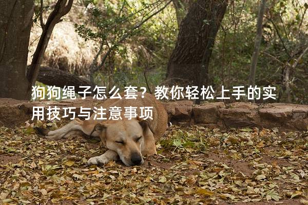 狗狗绳子怎么套？教你轻松上手的实用技巧与注意事项