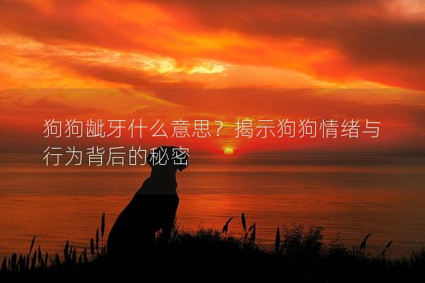 狗狗龇牙什么意思？揭示狗狗情绪与行为背后的秘密
