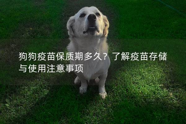 狗狗疫苗保质期多久？了解疫苗存储与使用注意事项