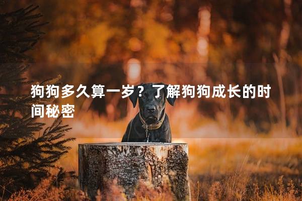 狗狗多久算一岁？了解狗狗成长的时间秘密