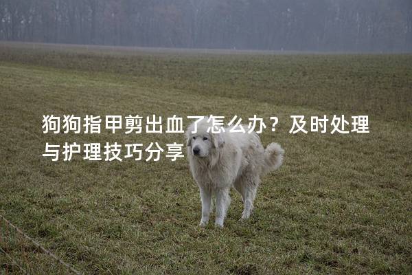 狗狗指甲剪出血了怎么办？及时处理与护理技巧分享