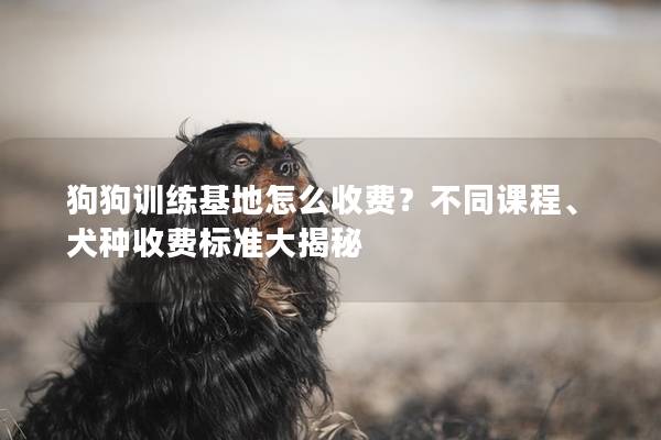 狗狗训练基地怎么收费？不同课程、犬种收费标准大揭秘