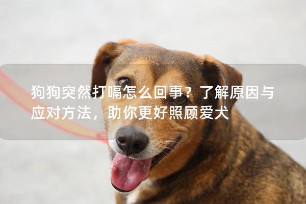 狗狗突然打嗝怎么回事？了解原因与应对方法，助你更好照顾爱犬