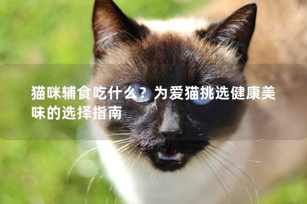 猫咪辅食吃什么？为爱猫挑选健康美味的选择指南