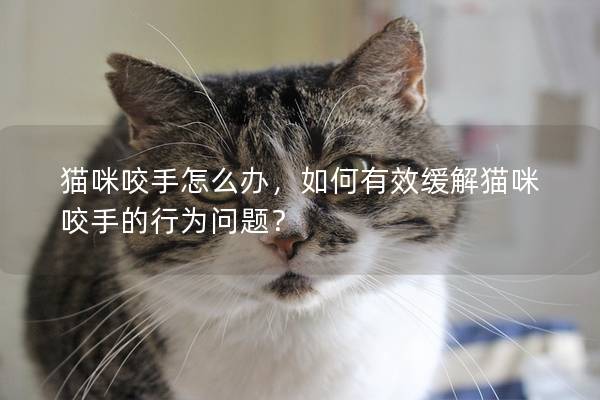 猫咪咬手怎么办，如何有效缓解猫咪咬手的行为问题？