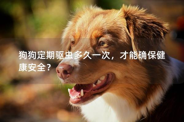 狗狗定期驱虫多久一次，才能确保健康安全？