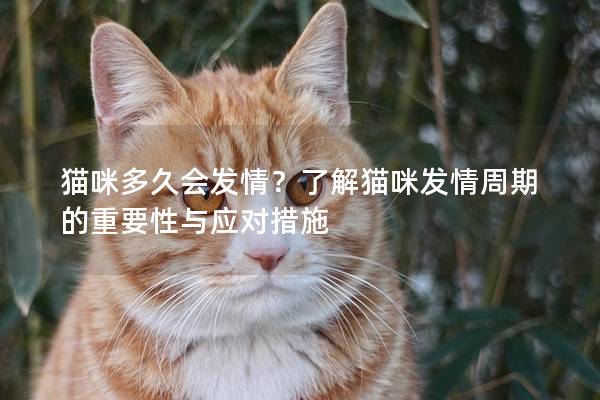 猫咪多久会发情？了解猫咪发情周期的重要性与应对措施