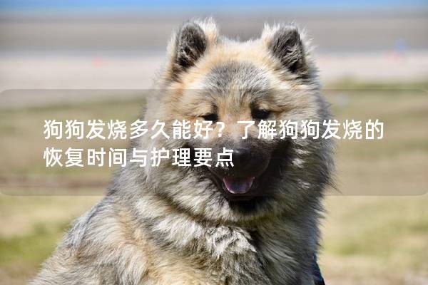 狗狗发烧多久能好？了解狗狗发烧的恢复时间与护理要点