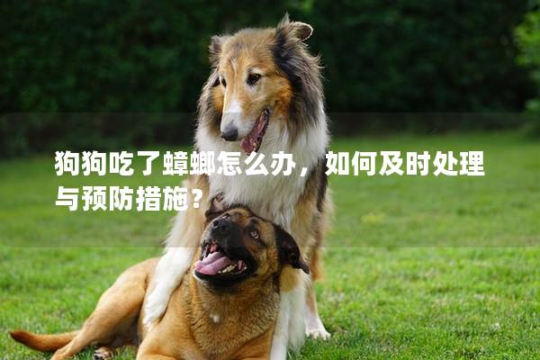狗狗吃了蟑螂怎么办，如何及时处理与预防措施？