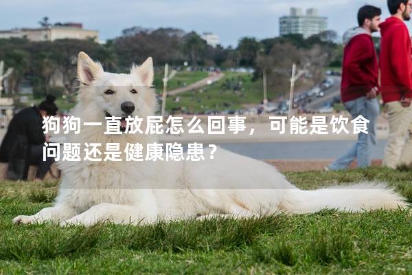狗狗一直放屁怎么回事，可能是饮食问题还是健康隐患？
