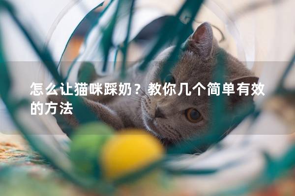 怎么让猫咪踩奶？教你几个简单有效的方法