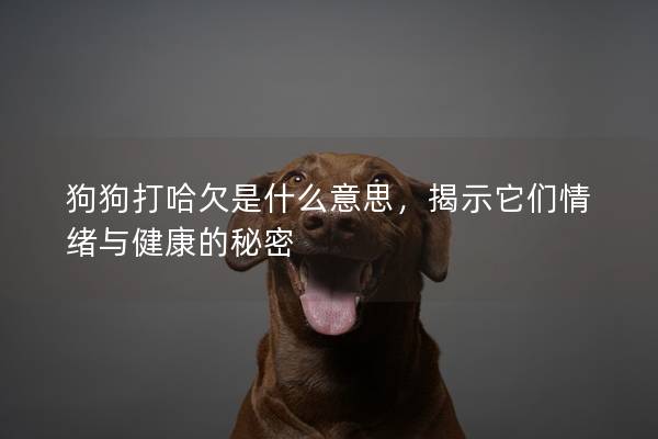 狗狗打哈欠是什么意思，揭示它们情绪与健康的秘密
