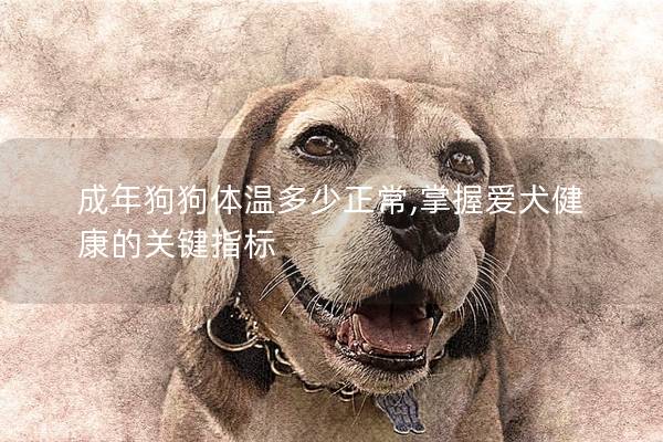 成年狗狗体温多少正常,掌握爱犬健康的关键指标