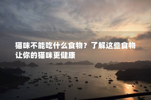 猫咪不能吃什么食物？了解这些食物让你的猫咪更健康