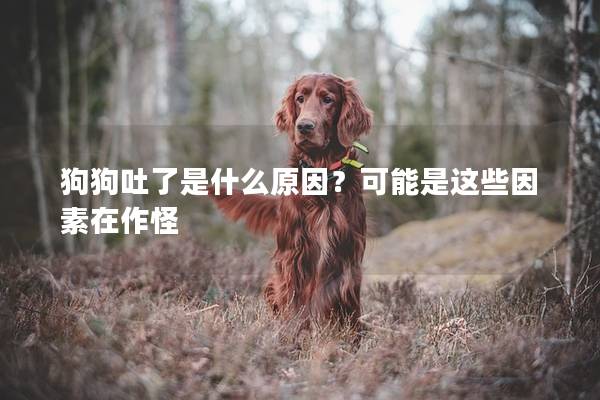 狗狗吐了是什么原因？可能是这些因素在作怪