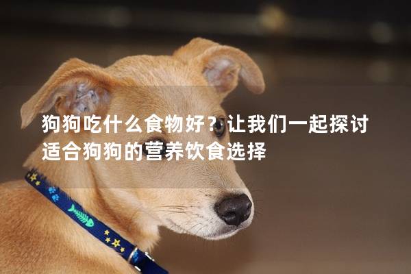 狗狗吃什么食物好？让我们一起探讨适合狗狗的营养饮食选择