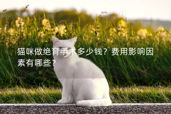 猫咪做绝育手术多少钱？费用影响因素有哪些？